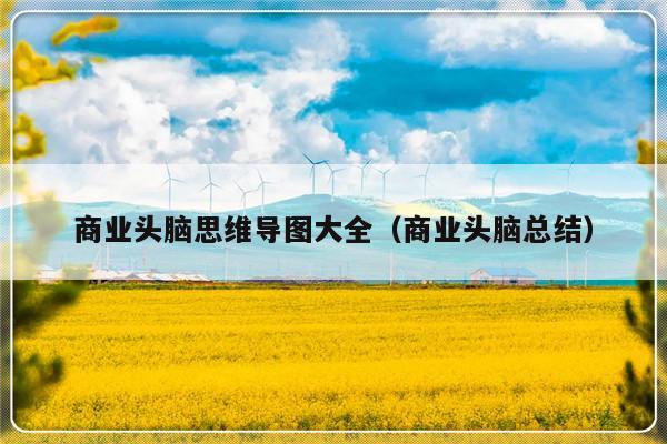 商业头脑思维导图大全(商业头脑总结)