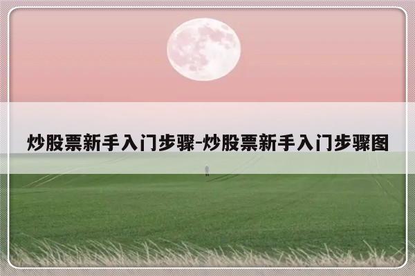 炒股票新手入门步骤-炒股票新手入门步骤图