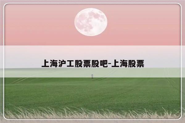 上海沪工股票股吧-上海股票