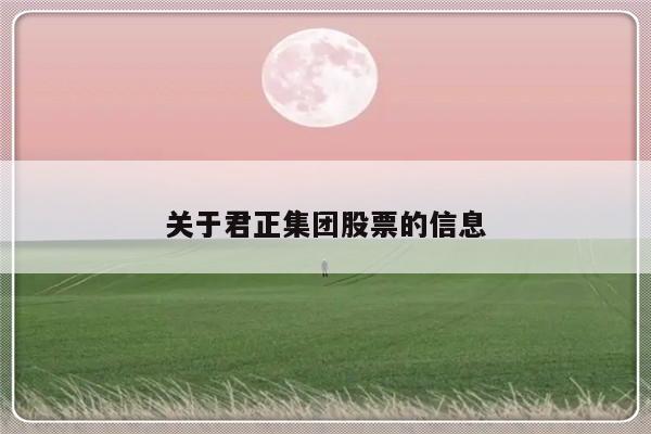 关于君正集团股票的信息