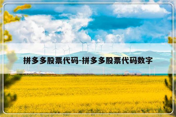 拼多多股票代码-拼多多股票代码数字